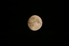 CG2015_027c