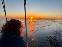 IMG-20260508-WA0003