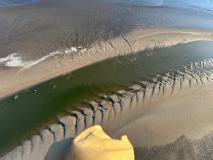 IMG-20260508-WA0013