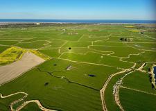 IMG-20260508-WA0017