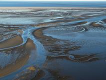 IMG-20260508-WA0018
