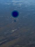 IMG-20260508-WA0020