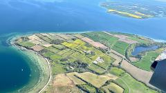 IMG-20260508-WA0022